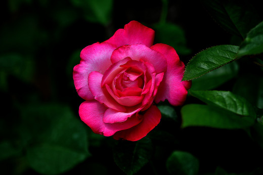 890642 (a): :2048x1360